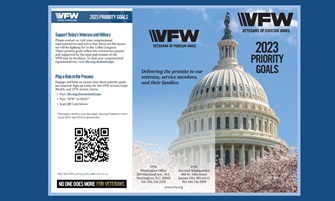 2023 VFW Priority Goals Brochure