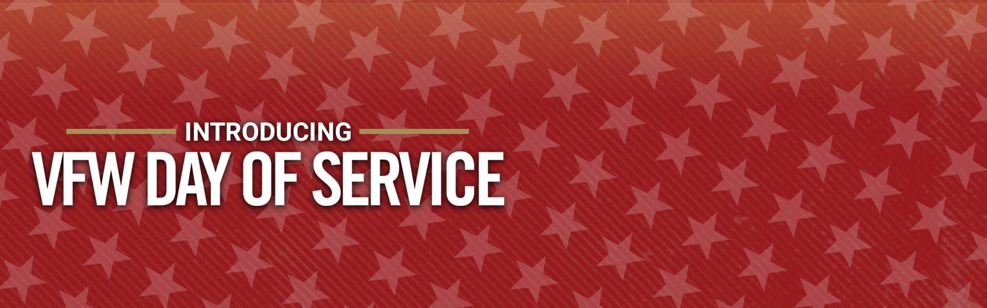 Join the 2022 VFW Day of Service