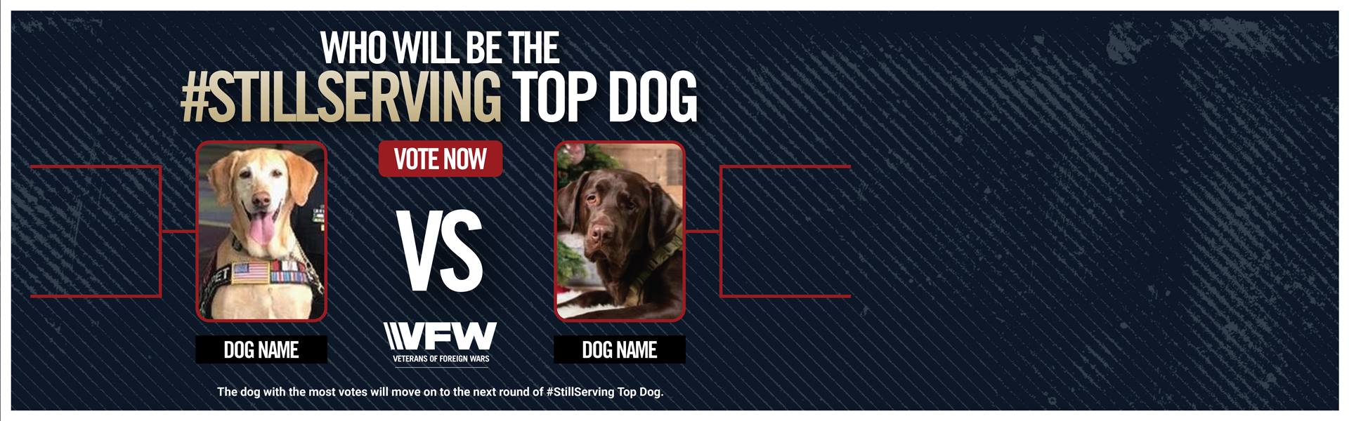 Vote for the #StillServing Top Dog