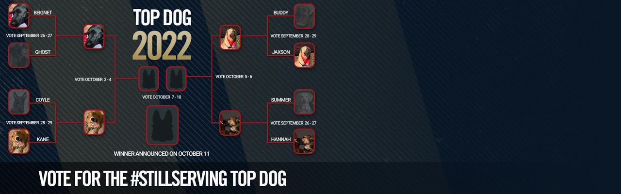 Top Dog Final Four