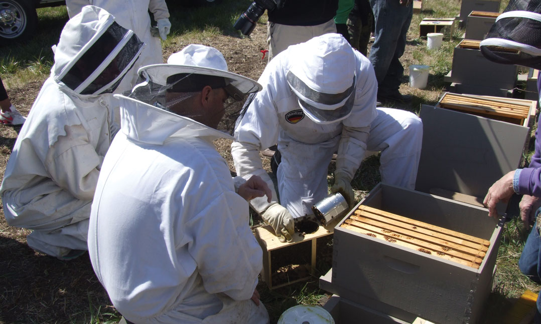VFW Beekeeping