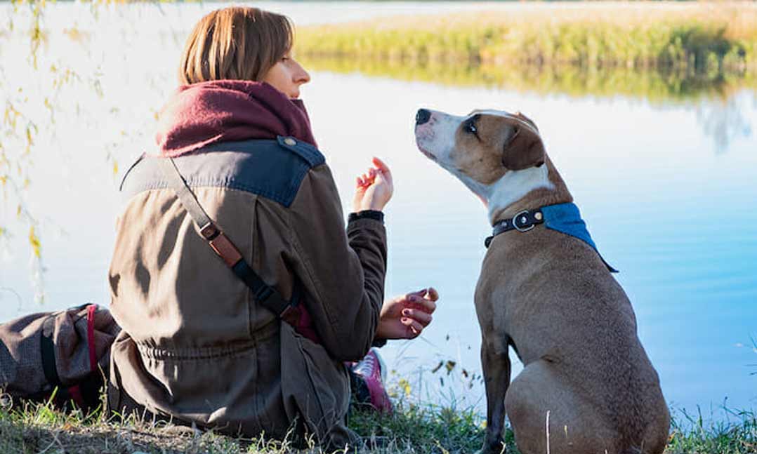 woman sitting with dog in front of a body of water