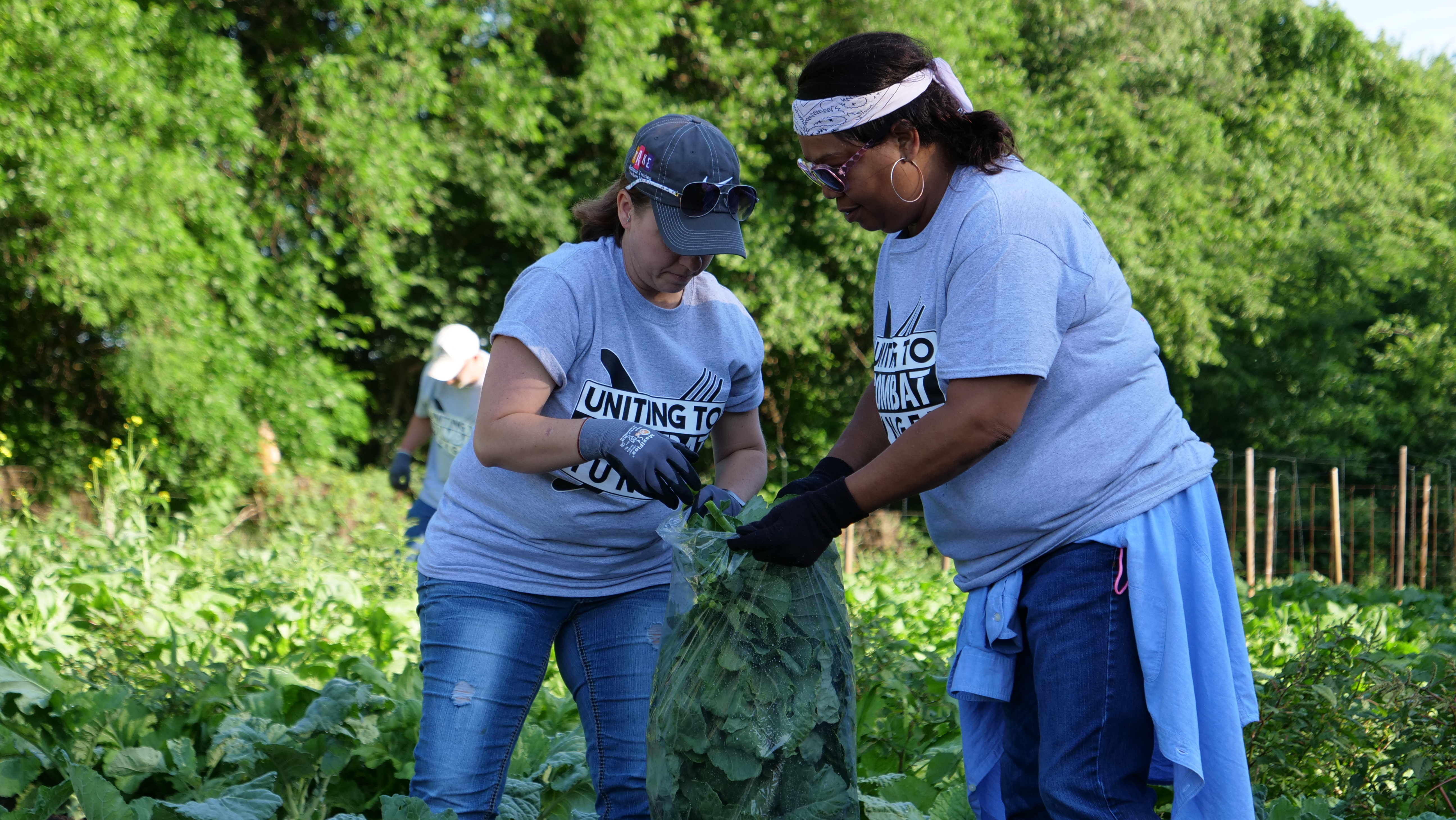 Two women participate in a farm gleaning event in support of Uniting to Combat Hunger